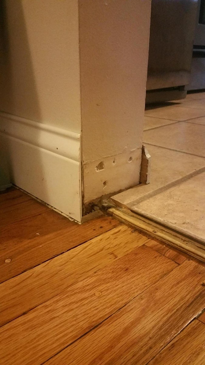 Baseboards And Shoe Moulding Around Floor Transition Need Opinions Woodworking Talk