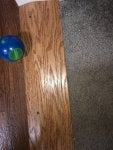 IMG_3880.jpeg