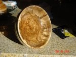 DSC07024 (Medium).jpg